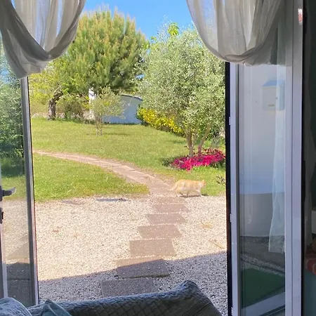 A Quinta Da Estrelinha Séjour à la campagne *