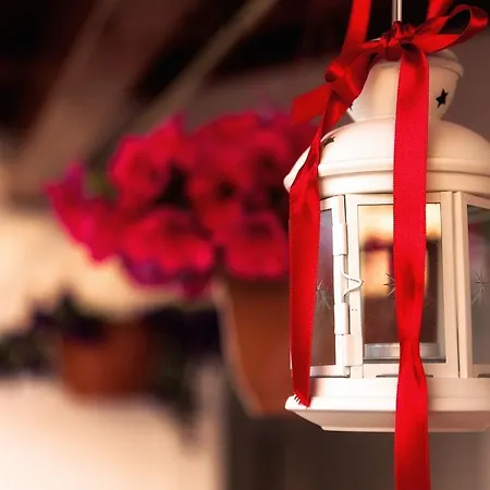 Landsted A Quinta Da Estrelinha