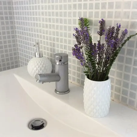 Landsted A Quinta Da Estrelinha