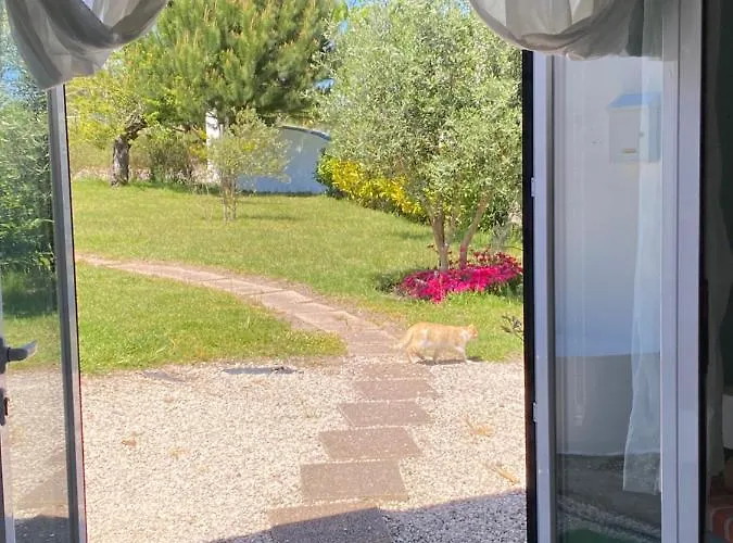 A Quinta Da Estrelinha בית כפרי *